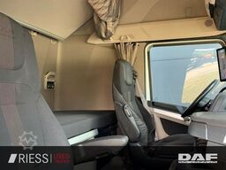 DAF XG 480 FT SpurH