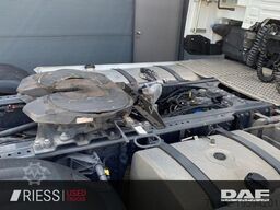 DAF XG 480 FT SpurH