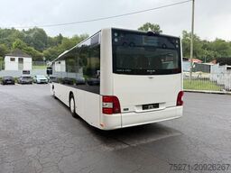 MAN Lions City A 20, Klima , Gurte ,  Überland