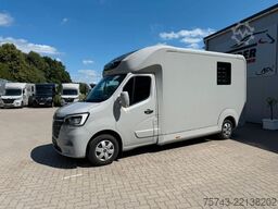 RENAULT Master STX 3 Sitzer  Haras / Hengste