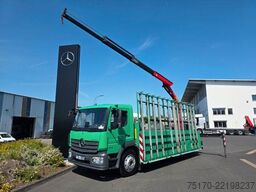 Mercedes-Benz Atego 1324 L Glasreff Palfinger PK 12.501 Funk
