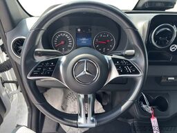 Mercedes-Benz Sprinter 317 CDI KASTEN PRO Hoch RS 3.665 MM AUT