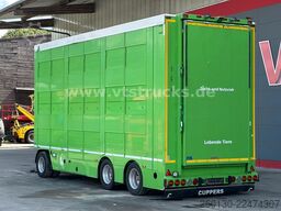  Cuppers LVA 09-16 AL 3-Stock Viehanhänger,