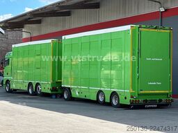 MAN TGX 26.440 6x2 3.Stock Cuppers Komplett-Zug