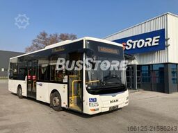 MAN A66 Lion's City M