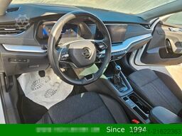 SKODA Octavia Combi Style 2,0TDi wenkbar