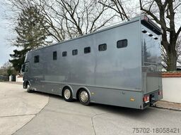 Mercedes-Benz Actros 2544 6 Pferde + Kiste Popout