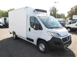 FIAT Ducato 130 *Carrier Tiefkühler*Klima*Euro6*