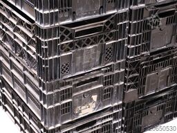 Kruizinga 99-6287GB-PAL