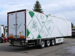 Chereau Carrier Vector 1550 FRC Strom TW SAF Palletbox