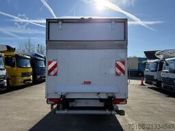 MERCEDES-BENZ SPRINTER 516 CDI Kühlkoffer LBW 0,75 T*MOTOR NEU