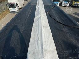 STAS bioSTAR 91,3 cbm