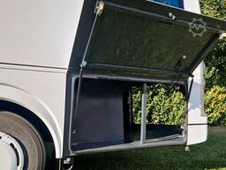 TEMSA Prestij SX Novo Lux Daily Lagerfahrzeug