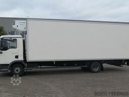 MAN 12.210 TGL, Thermo King, Trennwand, LBW, Klima