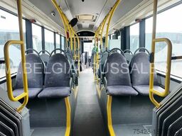 Volvo 7700A / Gelenkzug / Citaro 530G / Lion's City