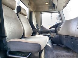 Renault MIDLUM 220.12