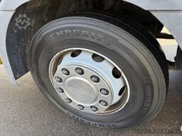 Scania P360 LB 6x2 Faun  / Swiss-Vehicle