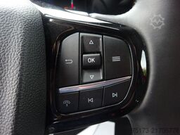 FORD Tourneo Custom Aut. L1 Titanium AHK Navi MTW 112