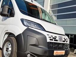 FIAT Fiat Ducato 9 Sitzer Systemboden Rolli Stock