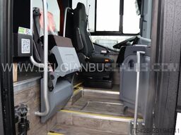 Iveco Evadys 12m / Rear door / 3-point seat belts / N...