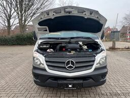 MERCEDES-BENZ Sprinter 313 Cdi BlueTEC Maxi 9Sitze+Lift Klima
