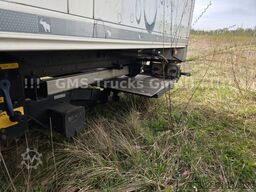 SCHMITZ CARGOBULL Schmitz Frigo Cool / BI Multi DUO Temp / DS