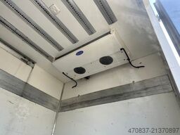 SCANIA P250 / LBW / Carrier 1150 MT / Seitentür / Trenn