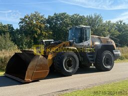 Liebherr L 586 Xpower