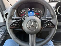 Mercedes-Benz Sprinter 317 CDI 9G 3665 AHK3,5to Schwingsitz