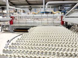 SCHELLING AH 8 (580) mm 5600 x 2700