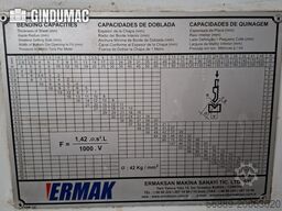 ERMAK CNC HAP 3100x200