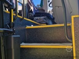 TEMSA Prestij SX Novo Lux Daily