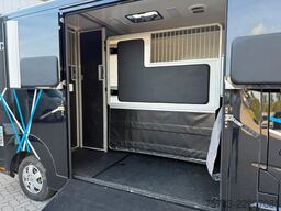 RENAULT Master STX 3 Sitzer  Haras / Hengste