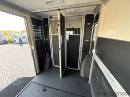 RENAULT Master STX 3 Sitzer  Haras / Hengste