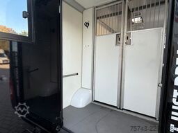 RENAULT Master STX 3 Sitzer  Haras / Hengste