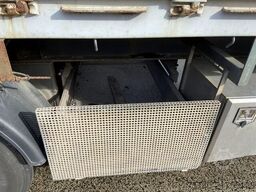 Pacton TPD 339