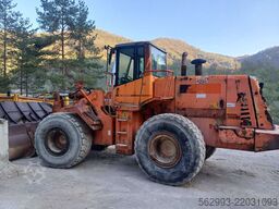 Fiat-Hitachi W230