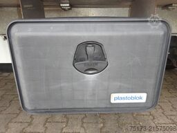 FORD Transit 350 L3 Tiefkühlkoffer HA Klima -20°