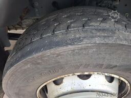 RENAULT D 19 WIDE 320 - 4X2 - E6 - TELMA