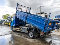 RENAULT MIDLUM 220.12 DXI 4x2