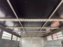 Stehmann 1.Stock Viehanhänger Bj.2013