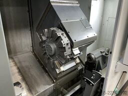 Haas 