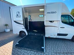 RENAULT Theault Proteo   5 Sitzer  Haras / Hengste