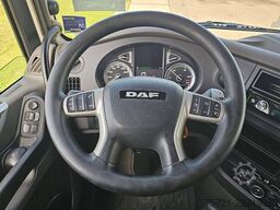 DAF XF 450