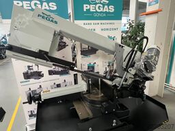PEGAS-GONDA 300x320 SHI-LR-CZ
