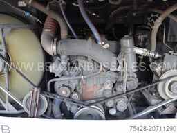 Van Hool T 915 Acron / Liftwagen