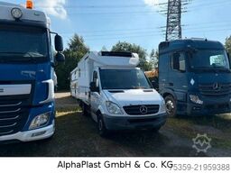 MERCEDES-BENZ Sprinter, Tiefkühlkoffer