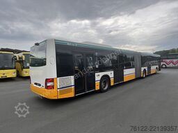MAN A 23 Lions City