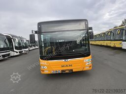 MAN A 23 Lions City