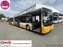 MAN A 23 Lions City